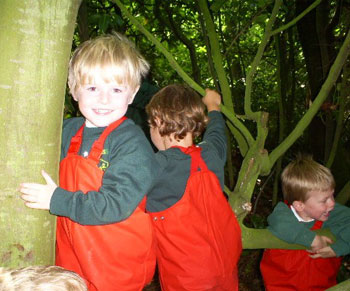 Forest School Kids in the trees
