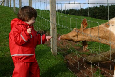 Anezka age 2 in Kiba Suit