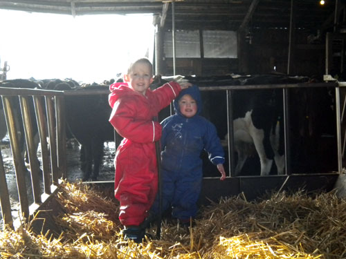 Helping with milking in Regatta Splosh suits