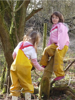 Tree climbing